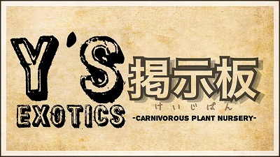 長らく休止して更新無し